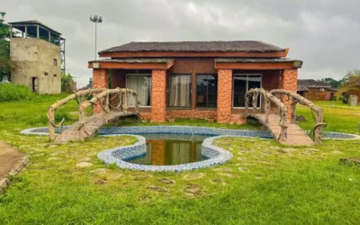 5 bonnes raisons de choisir un séjour éco-touristique au Cameroun